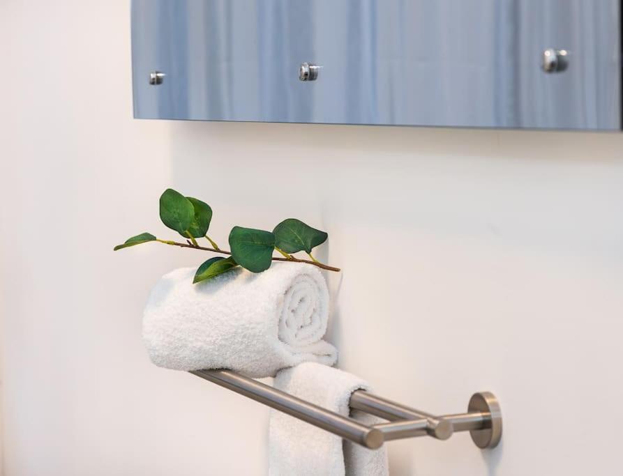 Charmante Wohnung In Koblenzer Innenstadt コブレンツ エクステリア 写真