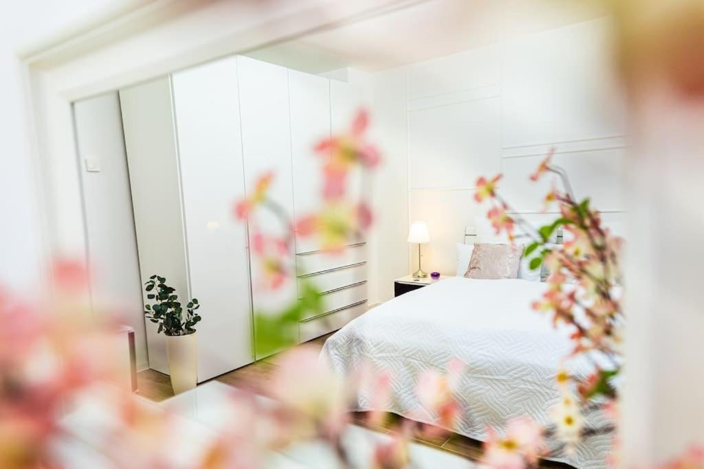 Charmante Wohnung In Koblenzer Innenstadt コブレンツ エクステリア 写真